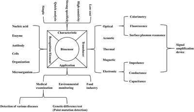 Biosensors for Point Mutation Detection